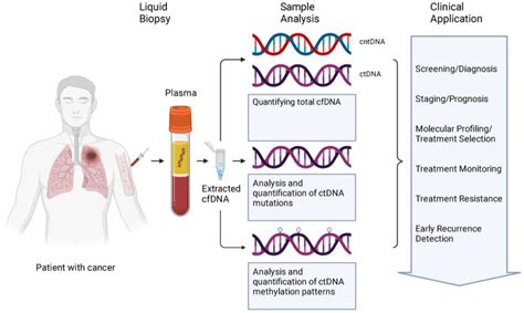 Using cfDNA and ctDNA as Oncologic Markers: A Path to Clinical Validation