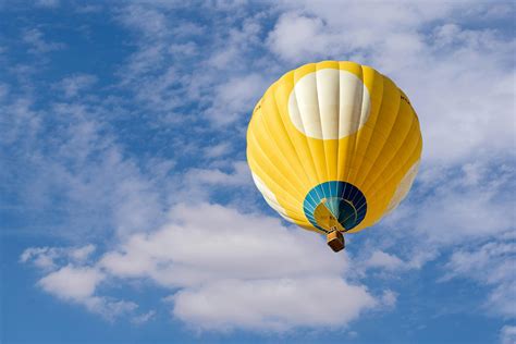 Balloon Twisting Fish 的图像结果