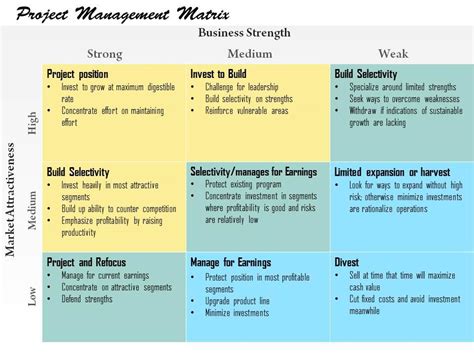 Image result for Project Matrix Chart