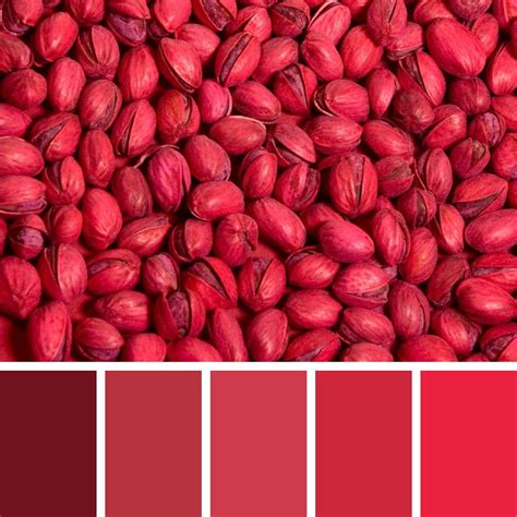Red Pistachios Color Palette