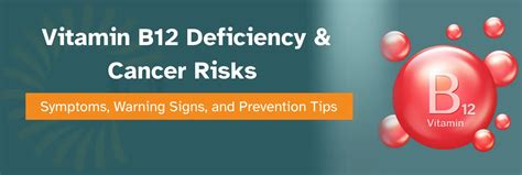 Vitamin B12 Foods: Best Sources to Prevent B12 Deficiency