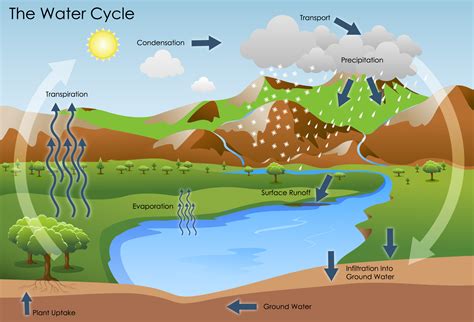The Water Cycle | Battle Creek Area Clean Water Partnership