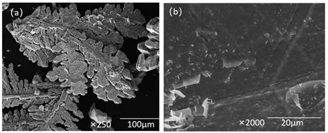 Recovery and Utilization of Lead in Lead–Containing Waste Residue from ...