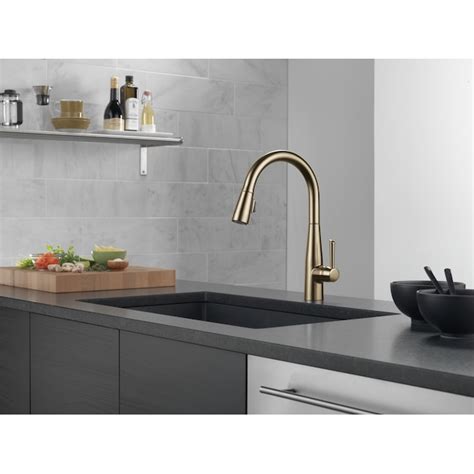Delta Essa Champagne Bronze Single Handle Pull-down Kitchen Faucet with ...