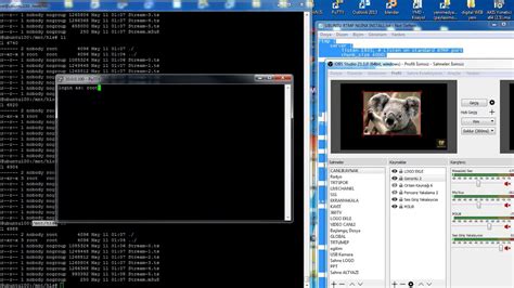 Rtmp Software 的图像结果