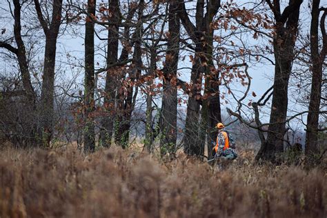 The Guide to Vermont Hunting License Requirements | Hunter-ed.com™