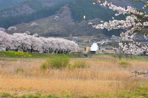 https://stat.ameba.jp/user_images/20170506/15/kanko-hanawa/10/08/j/o1024068313930736289.jpg