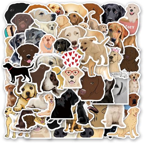 Image result for Database Type Client Database