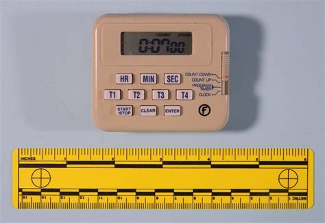 Image result for Toastmaster Timer Role