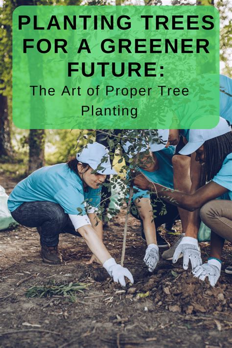 Image result for Proper Tree-Planting