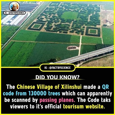 Interesting Things 的图像结果