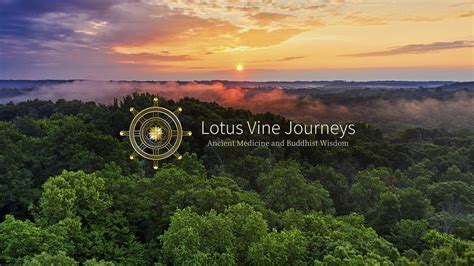 Ancient Medicine and Buddhist Wisdom Retreat for Change Makers and ...