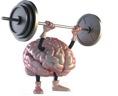 Image result for Prefrontal Cortex Exercises