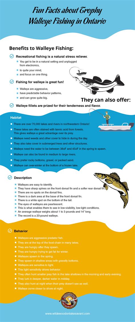 Fun Facts about Trophy Walleye Fishing in Ontario | Wildewood On Lake ...