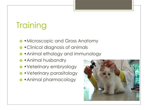 Tutorial Win Vet 的图像结果