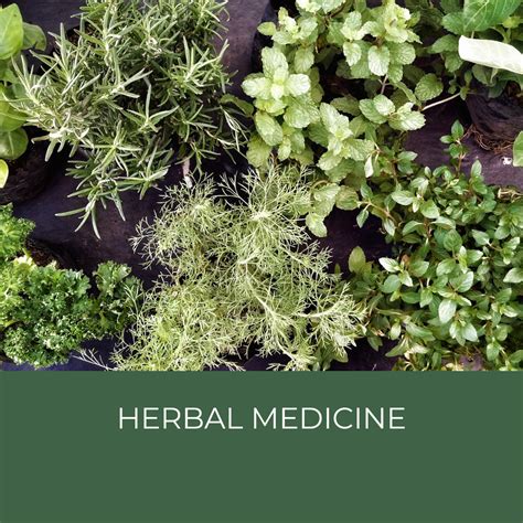 Herbal Medicine 的图像结果