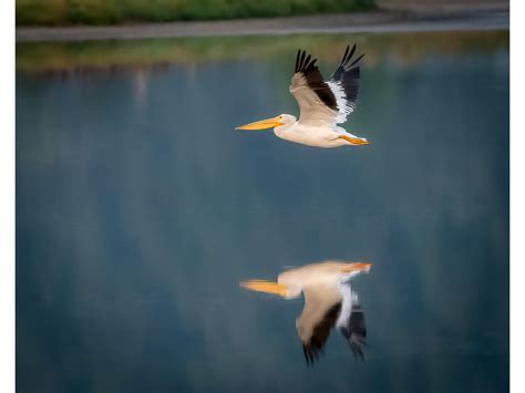 Outside In Exhibition — Kerry Tremain Photography