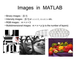 Image result for Uint8 MATLAB