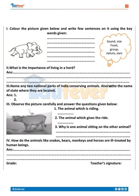 Image result for Class 4 EVS Worksheet