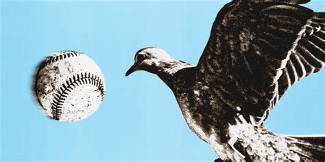 Image result for Exploding Bird