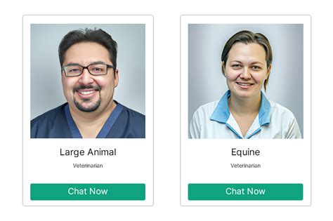 Image result for Chat Screen Java Vet Contacts