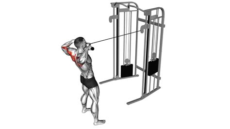 Cable Standing Face Pull (With Rope) - Video Exercise Guide & Tips ...