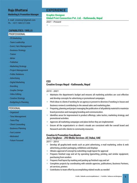 Image result for CV Sample PDF