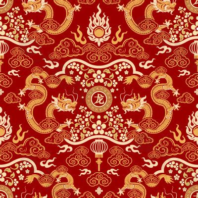 Image result for Dragon Coder Computer