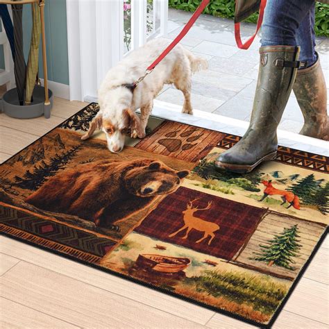 Amazon.com: ASPMIZ Farmhouse Area Rug, 2x3 Entry Rug Non-Slip Washable ...
