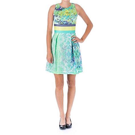 ABS Allen Schwartz Women’s Floral and Stripe Pleated Dress | Pleated ...