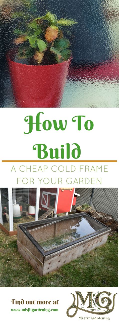 Build a Cheap Cold Frame 的图像结果