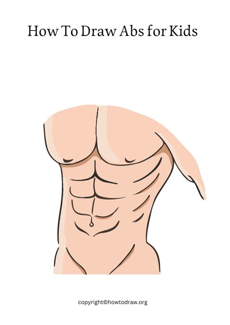 Image result for Draw Abs for Beginners