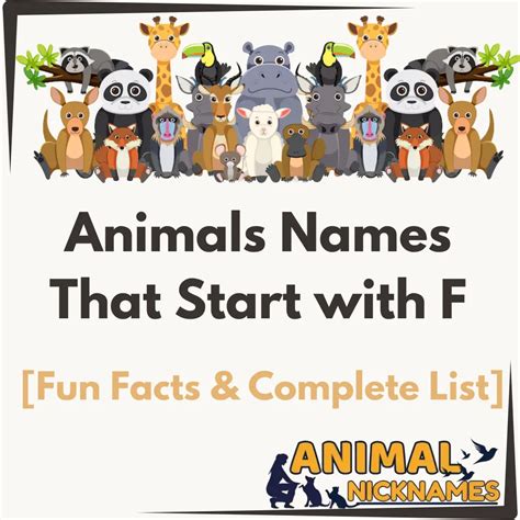 Animals Names That Start with B [Fun Facts & Complete List] – Animal ...