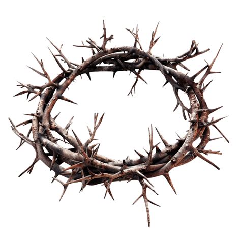 Corona De Espinas Y Clavos Pasion De Cristo Coronas De Espinas De