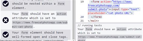 Image result for Create a Form Element Freecodecamp