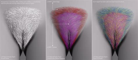 LI El Natural Pubic Hair for the Genesis 9 Female Anatomy | Daz 3D