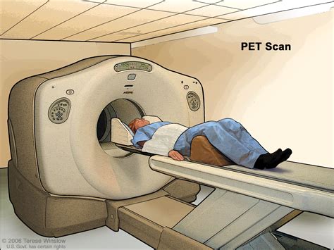 Image result for Open Pet Scan