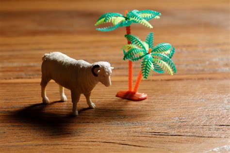 Image result for Contrast Based Subject