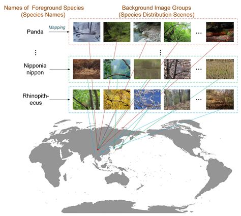 An Adaptive Embedding Network with Spatial Constraints for the Use of ...