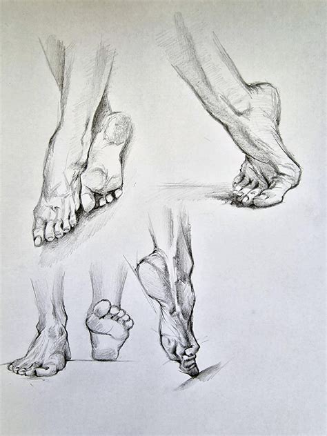 Foot Drawing 的图像结果