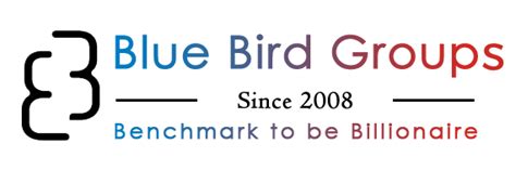 Blue Birds || Investor