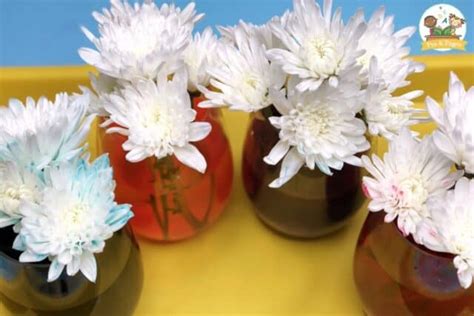 Science Crafts 的图像结果