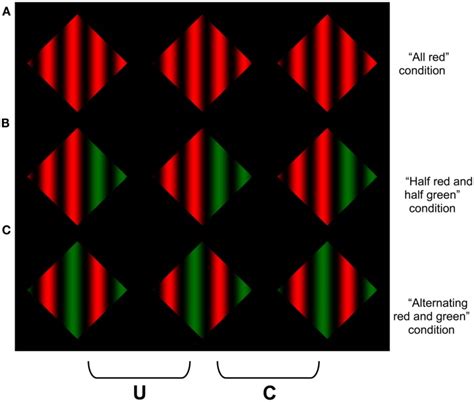 Image result for Feature Program Red Variant