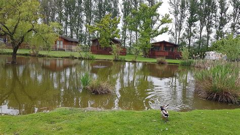 Goosewood Holiday Park Rooms: Pictures & Reviews - Tripadvisor
