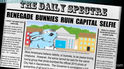 Expository Text Examples 的图像结果