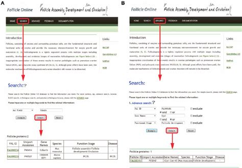 Image result for Query Search Interface