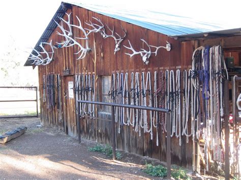 GERONIMO TRAIL GUEST RANCH (Winston) - Ranch Reviews, Photos, Rate ...