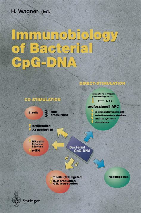 Buy Immunobiology of Bacterial CpG-DNA: v.247 (Current Topics in ...