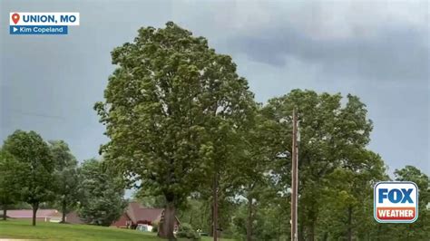 Watch: Strong winds whip trees in eastern Missouri | Latest Weather ...