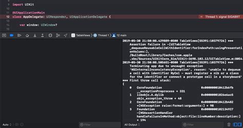 Image result for Xcode Errors Window